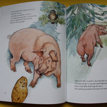 Load image into Gallery viewer, Barnas store eventyrbok