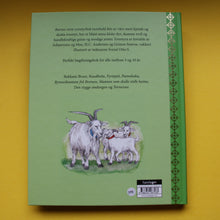 Load image into Gallery viewer, Barnas store eventyrbok