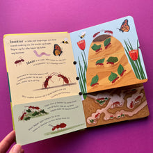 Load image into Gallery viewer, Bier og Biller klaffebok