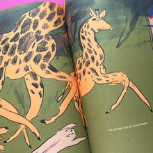 Last inn bildet i Galleri-visningsprogrammet, Dyrene sover