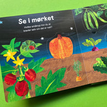 Load image into Gallery viewer, Den lille larven Aldrimetts bok om småkryp