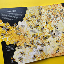 Last inn bildet i Galleri-visningsprogrammet, Det kravler og kryr