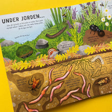 Last inn bildet i Galleri-visningsprogrammet, Det kravler og kryr