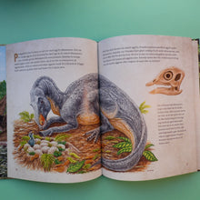 Last inn bildet i Galleri-visningsprogrammet, Et Dinosaurliv