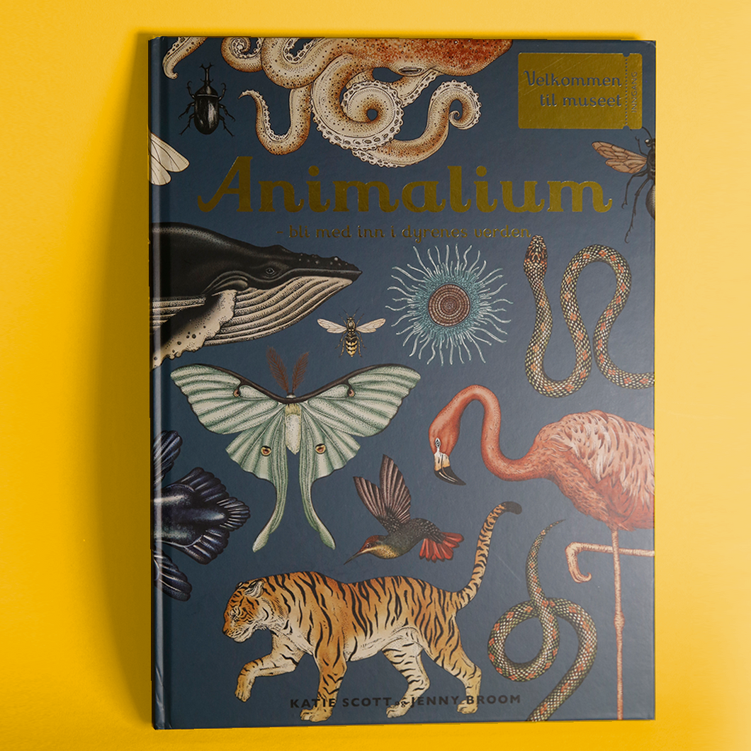 Animalium