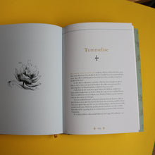 Last inn bildet i Galleri-visningsprogrammet, Barnas store godnattbok - ny design
