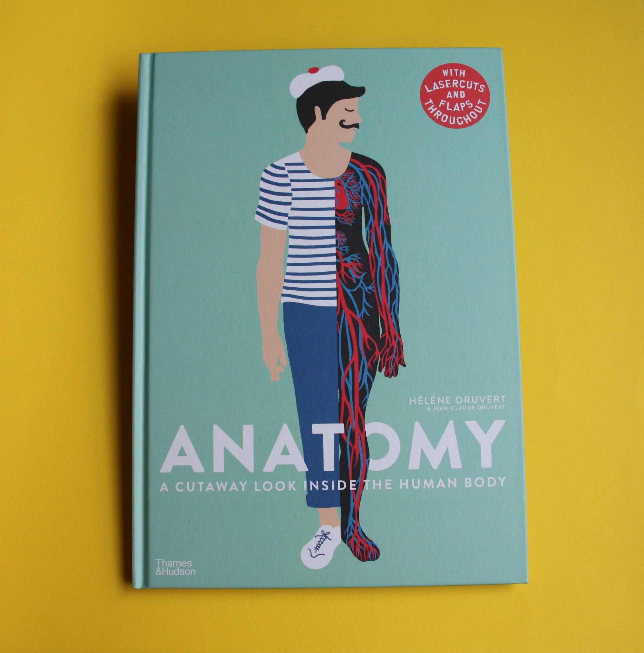 Anatomy: A cutaway look inside the human body – Svovel fabrikk
