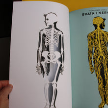Last inn bildet i Galleri-visningsprogrammet, Anatomy: A cutaway look inside the human body
