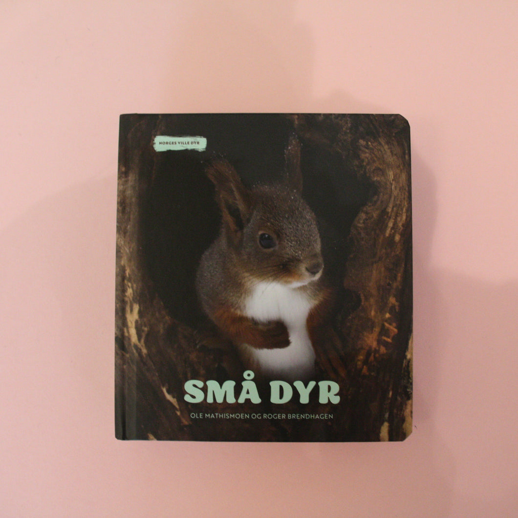 Små dyr