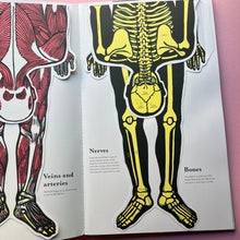 Load image into Gallery viewer, Inside the body
