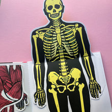 Load image into Gallery viewer, Inside the body
