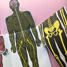 Load image into Gallery viewer, Inside the body
