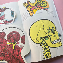 Load image into Gallery viewer, Inside the body
