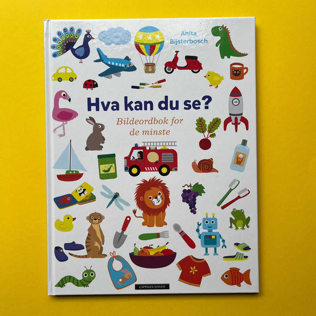 Hva kan du se? Bildeordbok for de minste