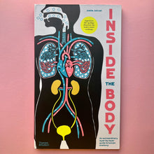 Load image into Gallery viewer, Inside the body
