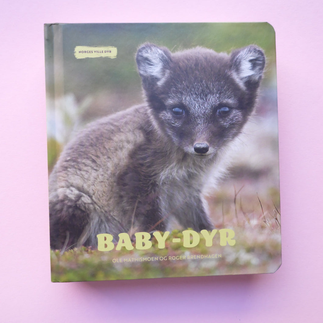 Baby-dyr