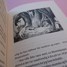 Last inn bildet i Galleri-visningsprogrammet, Kometen kommer
