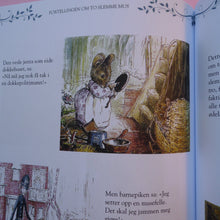 Last inn bildet i Galleri-visningsprogrammet, Petter Kanin og vennene hans
